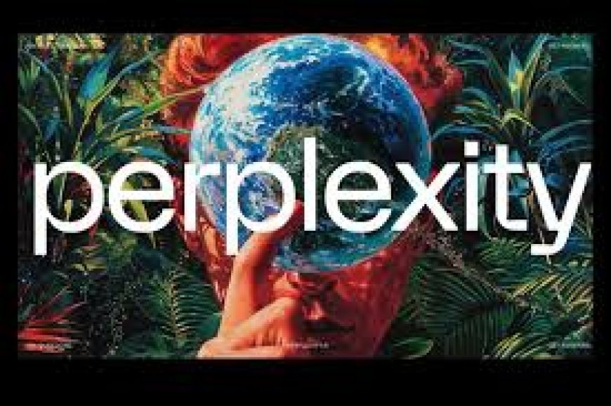 Perplexity